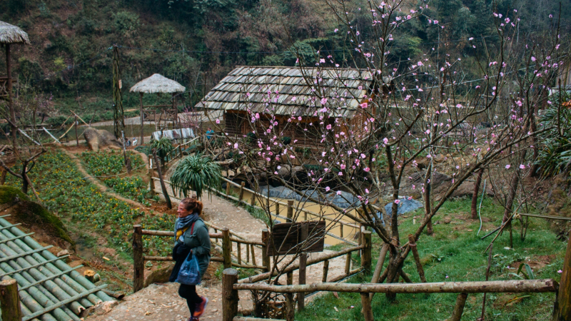 A Glimpse Of Local Life In Sapa
