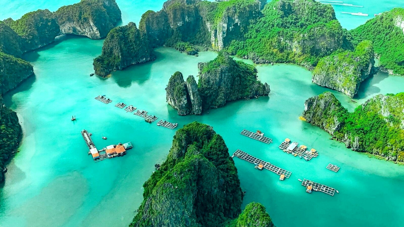 Admiring the Natural beauty of Halong Bay