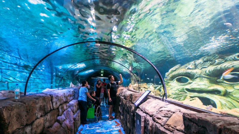 Explore Fascinating Marine Life The Oceanographic Institute