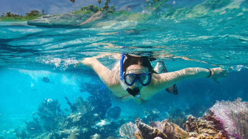 Snorkeling And Discover The Vibrant Underwater World