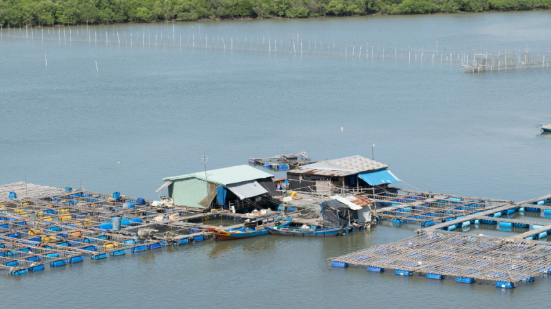 Visit Fish Farms With The Floating Cages