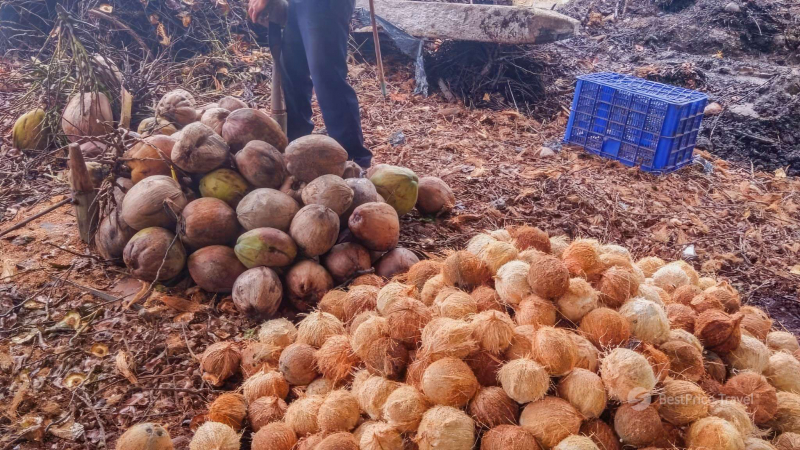 A Coconut Processing Workshop