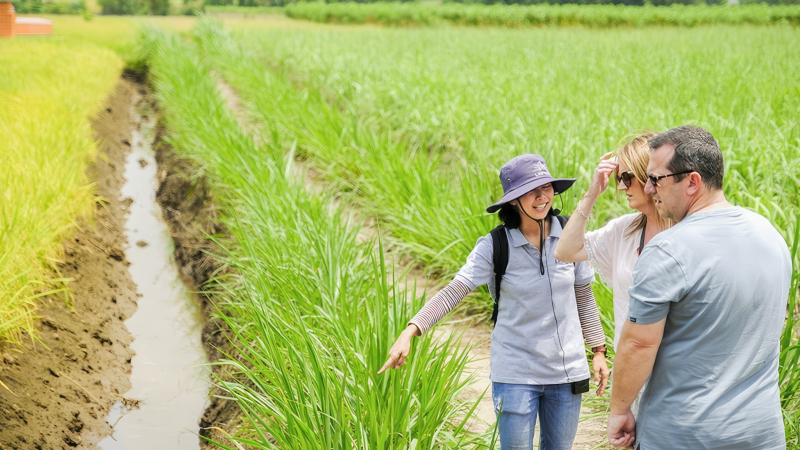 Knowledgeable tour guide
