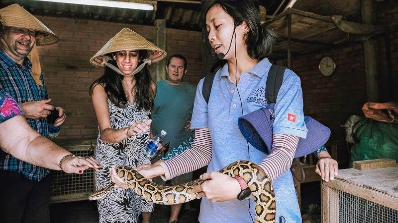 Giant Burmese pythons