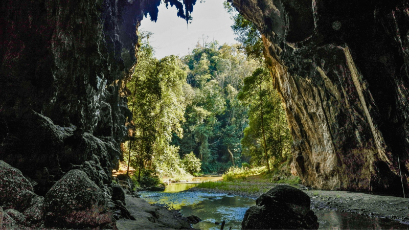 Day 6 Gorgeous Natural Beauty In Tham Lod Cave