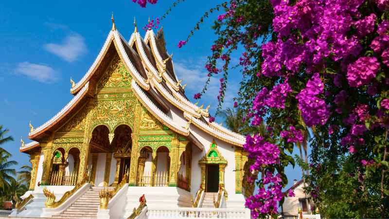 Day 1 Luxurious Design In Royal Palace Museum