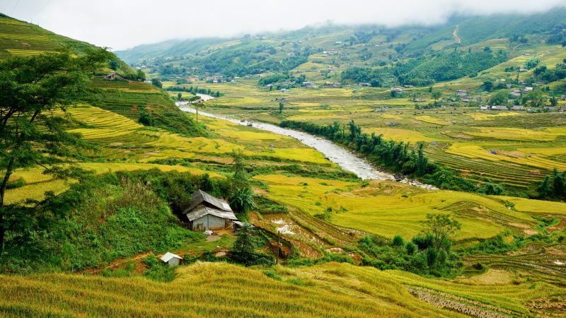Day 3 Beautiful Rice Field In Ta Van Village