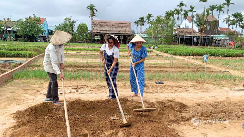 Day 5 Try Farming Work In Tra Que Village