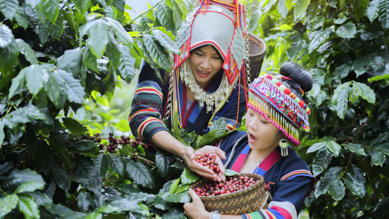 Day 4 Interact With Locals In Hill Tribe Village