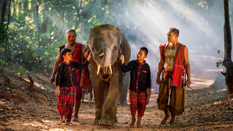 Day 4 Meaningful Experience To Interact With Elephants