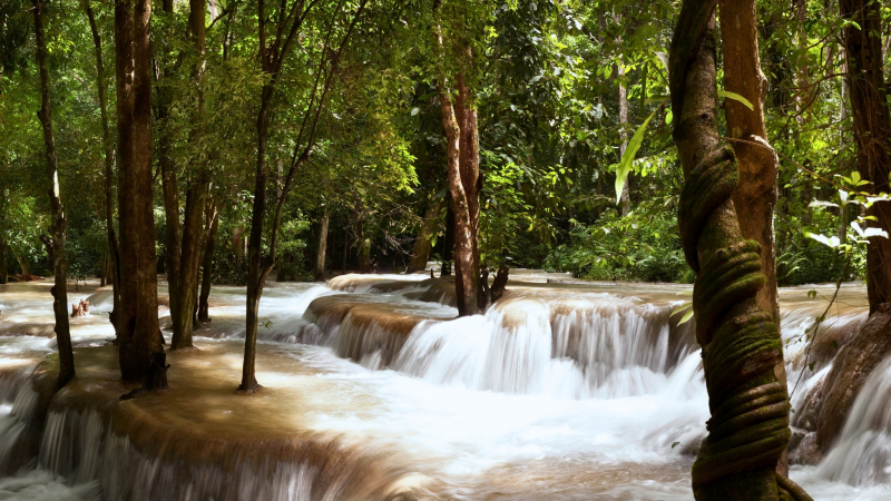 Day 2 Sightsee The Poetic Waterfall In Tad Say