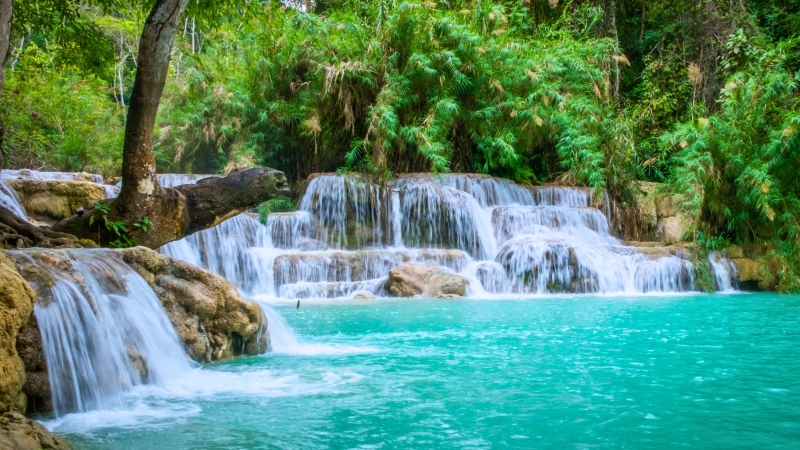 Day 3 Kuang Si Waterfalls The Biggest Waterfalls In The Luang Prabang