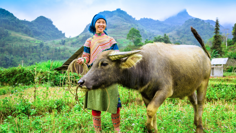 North Vietnam & Laos Adventure 14 Days