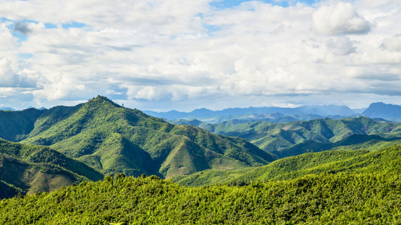 Day 6 Visit The Nam Et–Phou Louey National Park