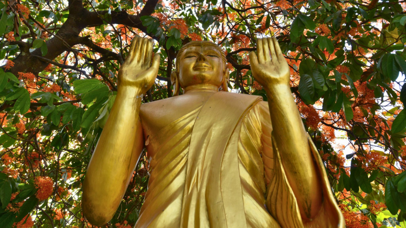 Luang Prabang Insight 7 Days