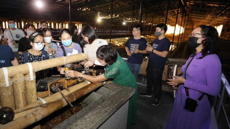 Take Some Water From A Tran Dynasty’s Well