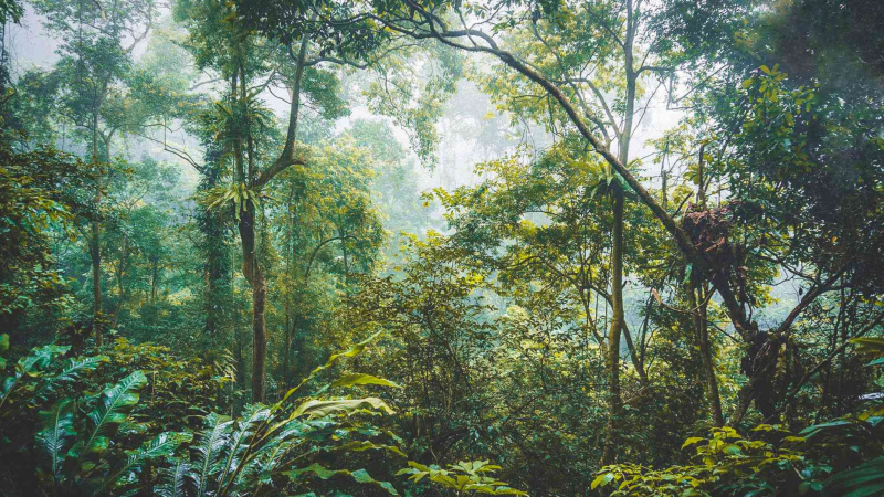 Day 1 Cuc Phuong National Park