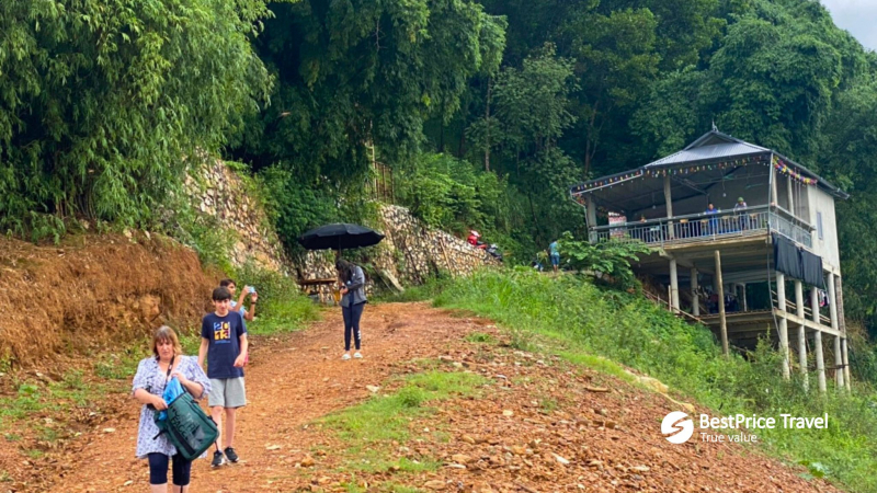 Admire The Rustic Beauty Of Natural Mountains And Forests