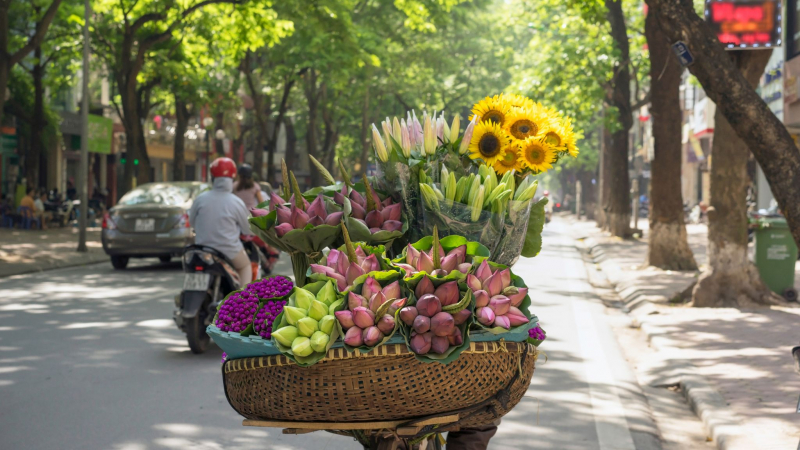 Hanoi City & Surrounding Bike Tour Full Day