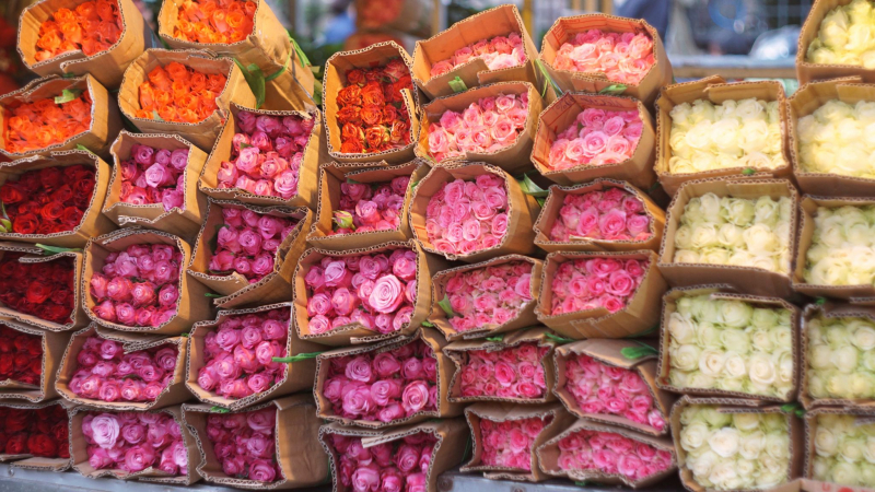 Quang Ba Flower Market Is Hanoi's Largest Wholesale Flower Market
