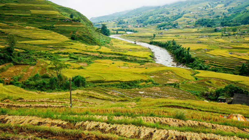 Day 2 Ta Van Village, Home To The Giay Ethnic Group