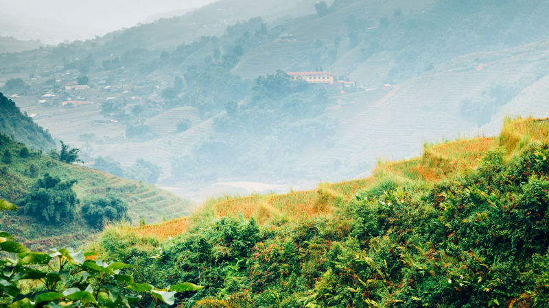 See The Well Taken Care Terraced Fields In Y Linh Ho Village