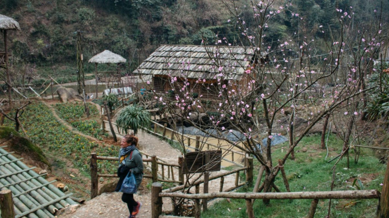 A Glimpse Of Sapa 2 Days
