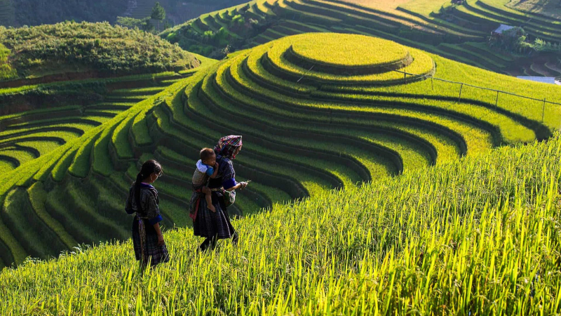 Day 2 Explore Intriguing Villages In Sapa