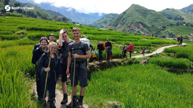 Walking Downhill Through Huge Rice Paddy Fields