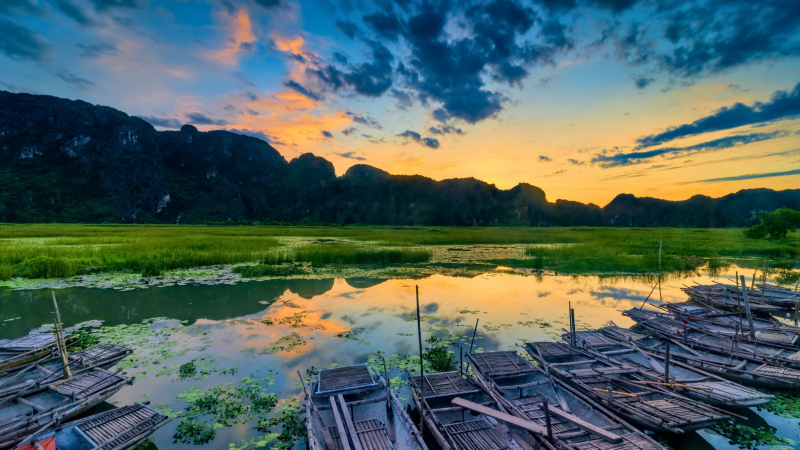 Have The Opportunity To See Rare Animals In Van Long Ecological Reserve