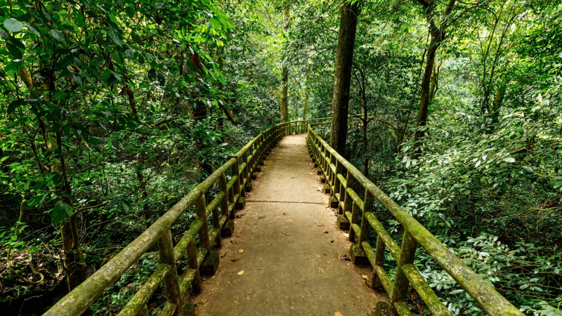 Trekking Through The Cuc Phuong National Forest While Inhaling The Pure Air