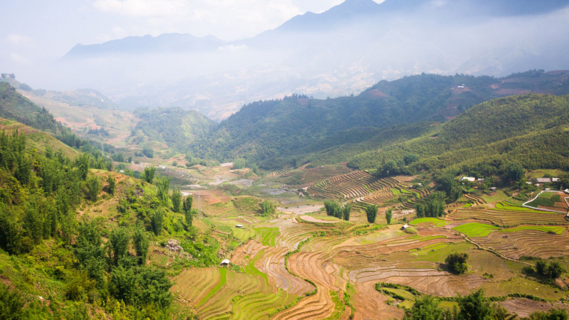 Trekking Through Terraced Rice Fields And Lush Green Valleys