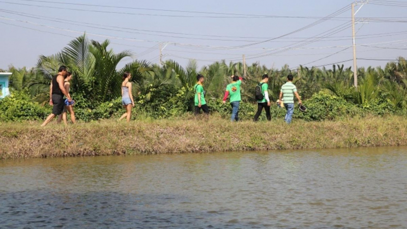 Admire Tranquil Beauty Of Countryside