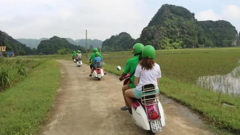 Drive Through Rice Paddies Of Mekong Delta