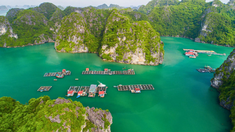 Discover Halong Bay & Ninh Binh 2 Days