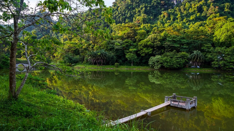 Day 2 Come To The Appealing Cuc Phuong National Park