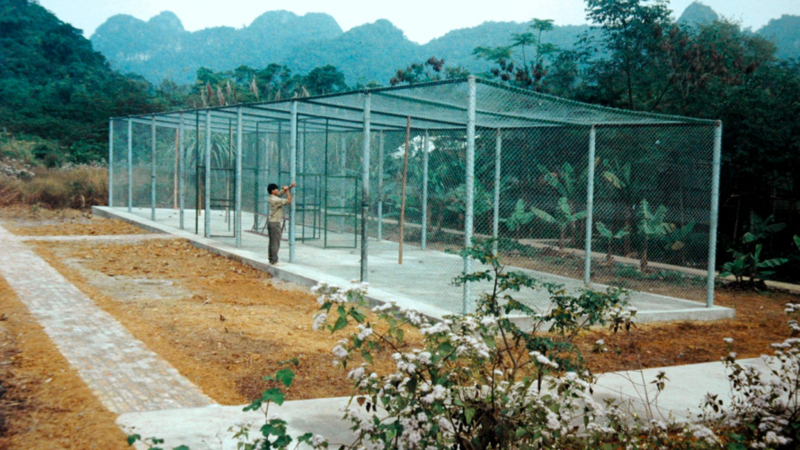 Day 2 Visit The Endangered Primate Rescue Center