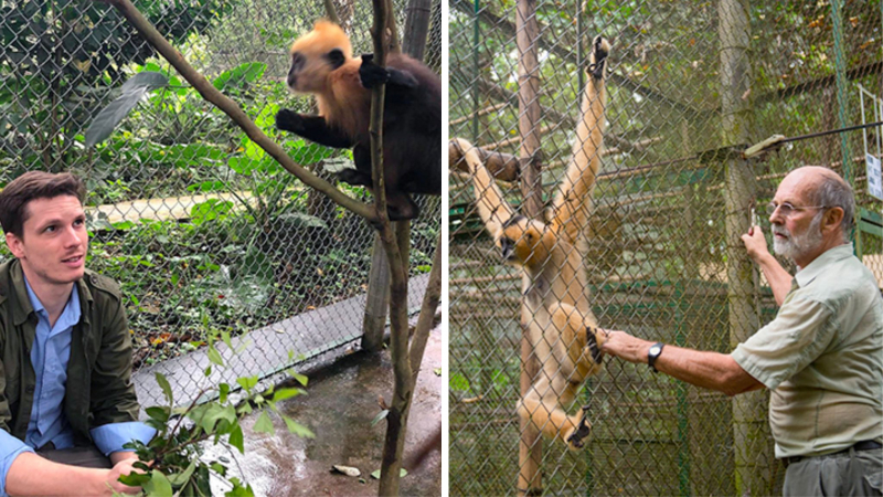 Day 2 Watch Experts Interact With The Gorgeous Animals