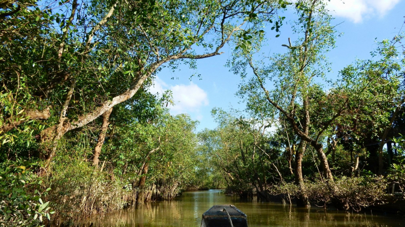 Come To Tan Phong Island To Explore The Abundance Of Local Fruit