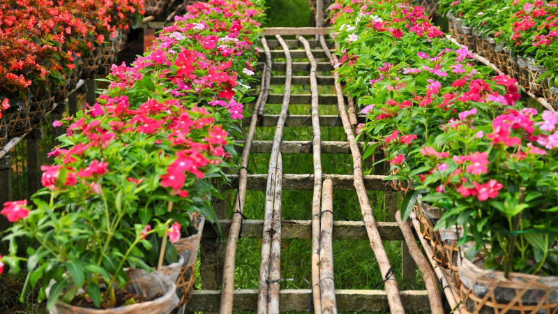 Sa Dec Market, One Of The Largest Markets In Mekong Delta