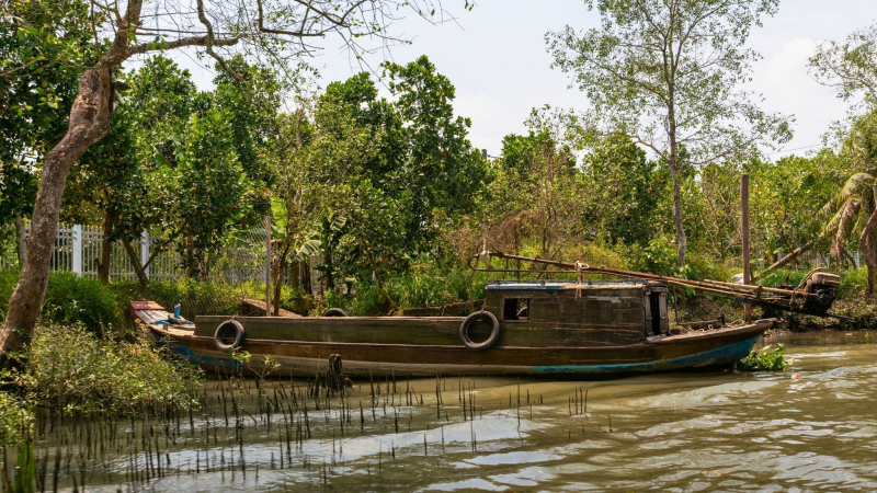 Sailing To Cu Lao Tan Phong To Discover The Wealth Of Local Produce