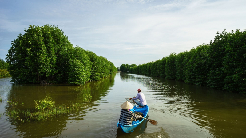 See The Mekong Delta's Breathtaking Natural Beauty