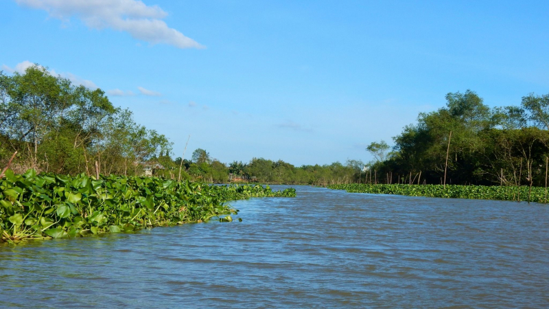 Sail To Cu Lao Tan Phong And Relax In The Natural Environment