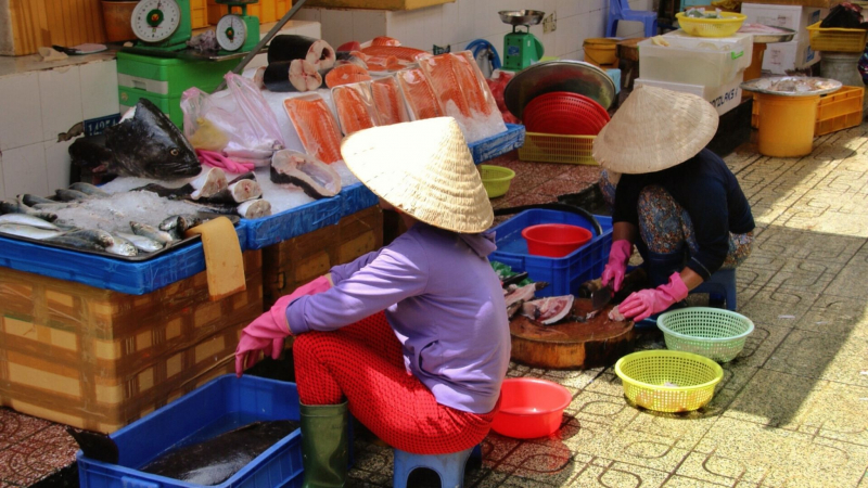 Immerse Yourself In The Daily Life Of Local People