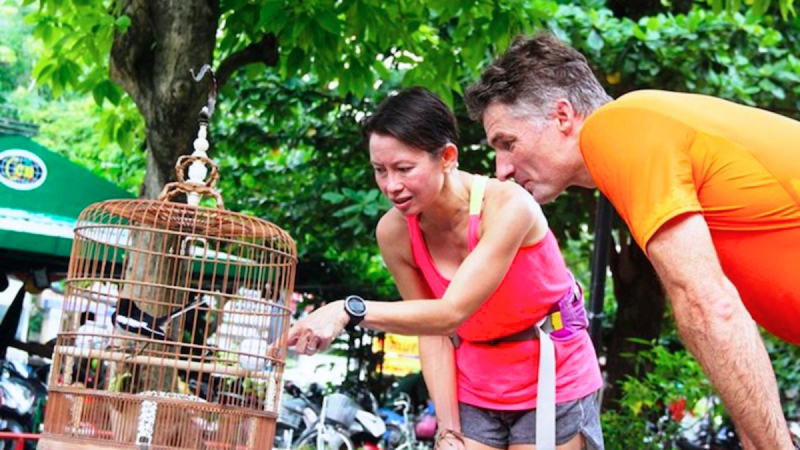 Interact With Friendly Bird Owner In The Birds’ Club