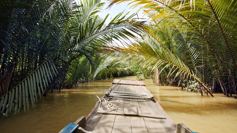 Admire The Beauty Of Nature While Riding The Sampan Boat