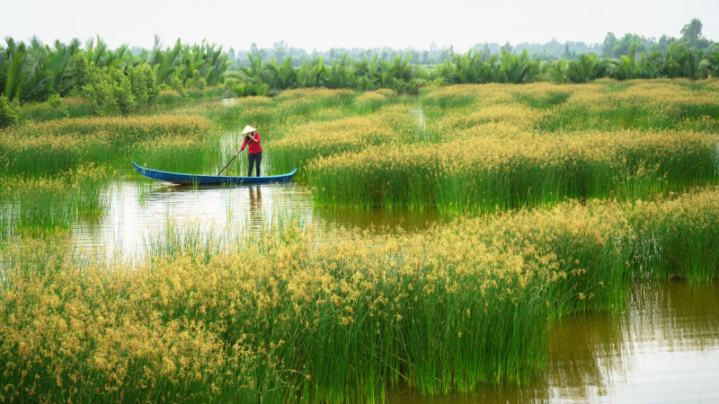 Mekong Delta With Floating Market 2 Days