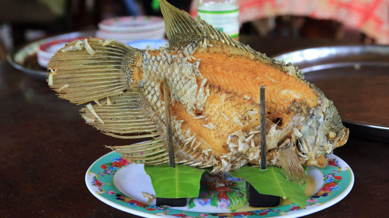 Savor Some Delicious Dish Made From Elephant Ear Fish
