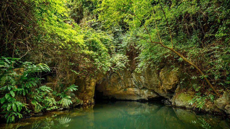 Preserving The Beauty Of Trang An's Beautiful Nature Through Photos