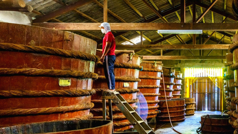 Traditional Fish Sauce Factory In Phu Quoc